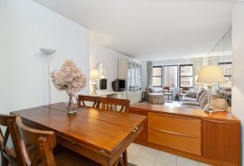 Bright and Sophisticated South Facing X-LG 1 BED