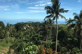 Koro Island ”Dere Bay" Fiji - Level Residential Block - $150,000 - 60% Contracoin