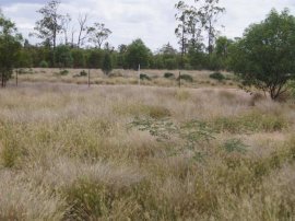 CHINCHILLA QLD - 640 acre lifestyle / farm - $780,000 - 30% Contracoin