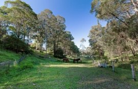 TERALBA NSW - 4 Bed House - Development Opportunity - $5M - 30% Contracoin